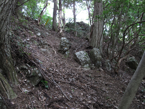 20161014hike (180)
